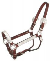 Silver Royal Show Halter -  Silver Engraved Accents - Horse Size