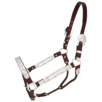 Dark Oil Silver Ferrule Horse Show Halter and Lead Shank
