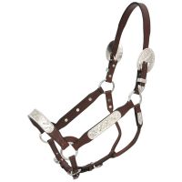 Dark Oil Congress Cut Horse Show Halter and Lead Shank