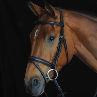 Collegiate Comfort Crown Padded Raised Flash Bridle