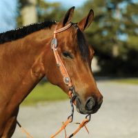 SS Tooled Teardrop Cheek Stud One Ear Bridle