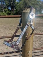 Dark Oil Silver Show Halter with Scroll Trim - Horse Size - Matching Lead Shank