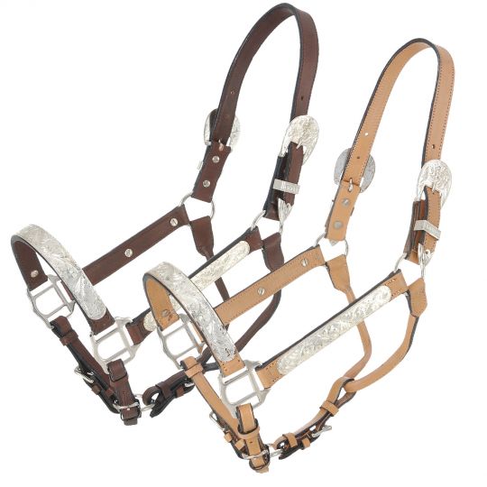Light Oil Leather & Silver Bars Show Halter and Lead Shank