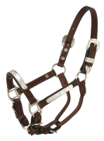 Dark Oil Miniature Horse Leather & Silver Show Halter - Lead Shank
