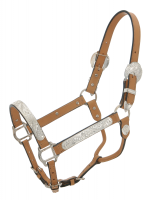Light Oil Silver Show Halter - Horse Size and Lead Shank