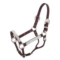 Dark Oil Silver Show Halter - Horse Size and Lead Shank