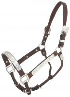 Dark Oil Silver Raised Star Horse Show Halter & Lead Shank