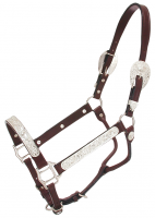 Dark Oil Silver Raised Oval Horse Show Halter & Lead Shank