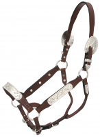 Dark Oil Congress Cut Weanling Show Halter and Lead Shank