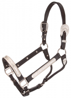 Dark Oil Silver Horse Show Halter - Berry Edge & Lead Shank