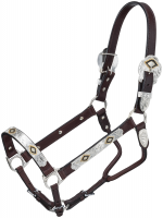 Miniature Horse Size Leather Show Halter with Silver Engraved Trim with Lead Chain 