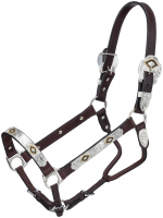 Dark Oil Silver Black & Gold Horse Show Halter - Lead Shank