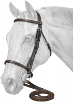 Raised Leather Snaffle Bridle w/ Web Reins - Havana Brown - Full Size