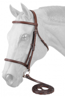English Bridle and Reins - Fancy Raised Leather - Full Size