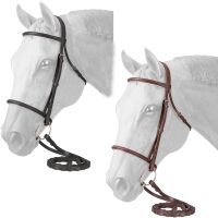 English Bridle and reins - Padded Noseband - Full Size