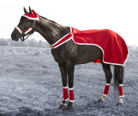 Santa 1/4 Sheet with Breastcollar