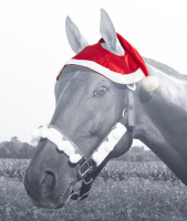 Double Ear Horse Santa Cap