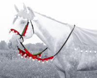 Elf Rein Covers and Halter Bridle Covers - Festive Fun for the Holiday Season
