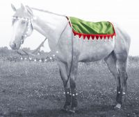 Christmas Elf Western Saddle Pad Cover