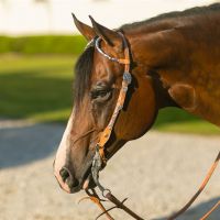 Silver Show Miva Diamond Headstall - Light or Dark Oil