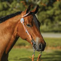 Silver Flat Bar One Ear Silver Headstall - Light or Dark Oil