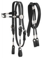 Miniature Poco Headstall with Reins