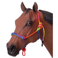 Miniature Horse Rainbow Poly Rope Halter
