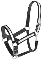 Draft Horse Nylon Halter with Overlay Color