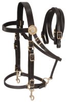 Australian Supreme Leather Halter Bridle Combo with Reins