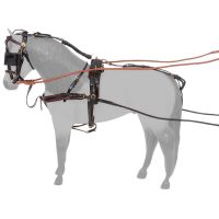 Miniature Horse Equipment: The Equine Arena On-Line
