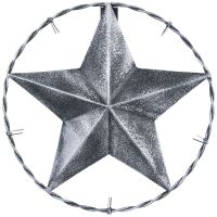 8" Rustic Western Silver Antiqued Decorative Metal Star w/ Barbwire Ring