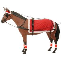 Complete Christmas Driving Set