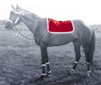 Santa English Saddle Pad Cover