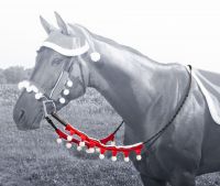 Santa Rein Covers - Fun for the Holiday Season!