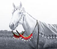Elf Reins Covers - Fun for the Holiday Season!