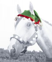 Elf Hat for Your Horse