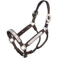 Silver Royal Scroll Show Halter with Stones